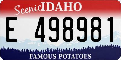 ID license plate E498981