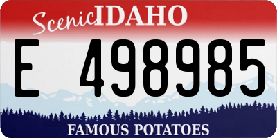 ID license plate E498985