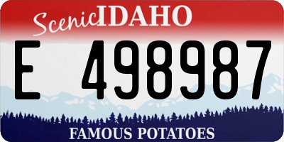 ID license plate E498987