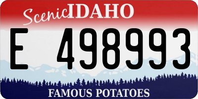 ID license plate E498993