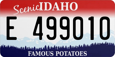 ID license plate E499010