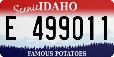 ID license plate E499011