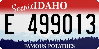 ID license plate E499013
