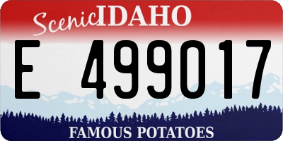 ID license plate E499017
