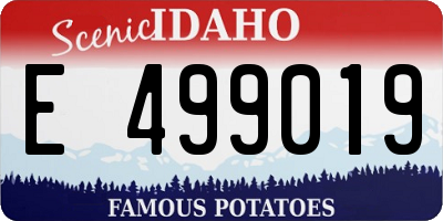 ID license plate E499019