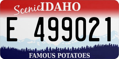 ID license plate E499021