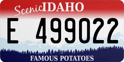 ID license plate E499022