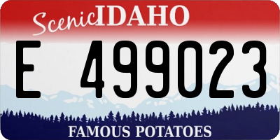 ID license plate E499023
