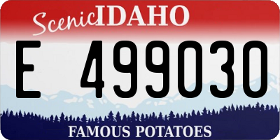 ID license plate E499030