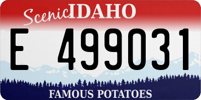 ID license plate E499031
