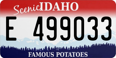 ID license plate E499033
