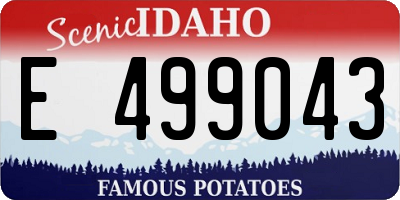 ID license plate E499043