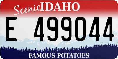 ID license plate E499044