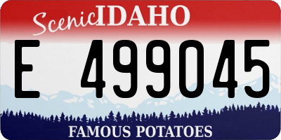 ID license plate E499045