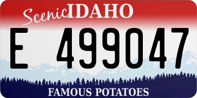 ID license plate E499047