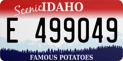 ID license plate E499049