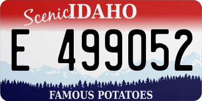 ID license plate E499052