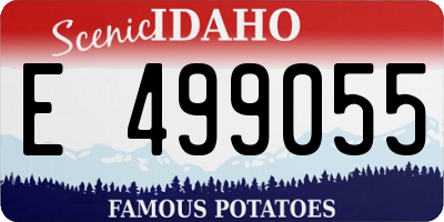 ID license plate E499055