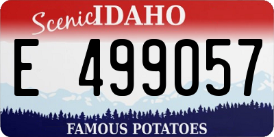 ID license plate E499057
