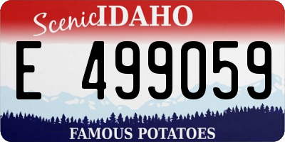 ID license plate E499059