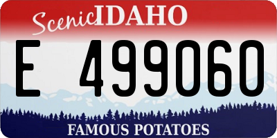 ID license plate E499060