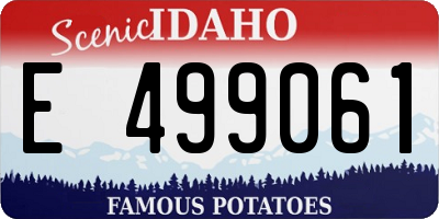 ID license plate E499061