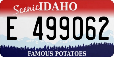 ID license plate E499062