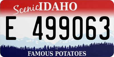 ID license plate E499063
