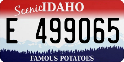 ID license plate E499065