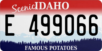 ID license plate E499066