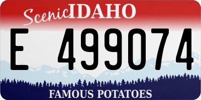 ID license plate E499074