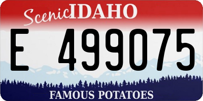 ID license plate E499075