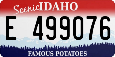ID license plate E499076