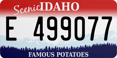 ID license plate E499077