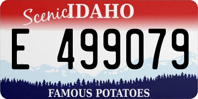 ID license plate E499079