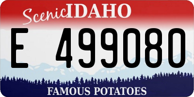 ID license plate E499080