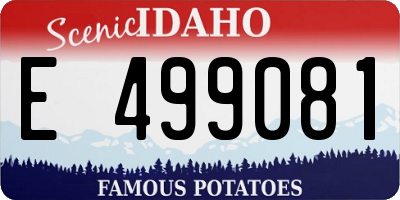 ID license plate E499081
