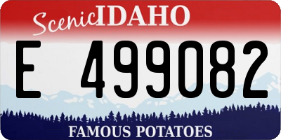 ID license plate E499082