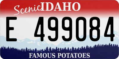 ID license plate E499084