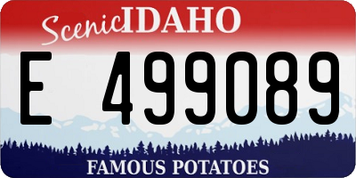 ID license plate E499089