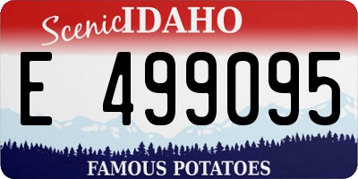 ID license plate E499095