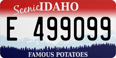 ID license plate E499099