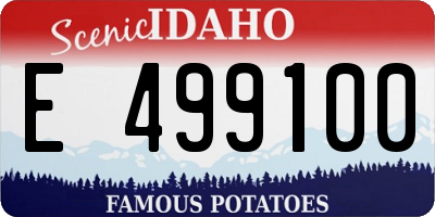 ID license plate E499100