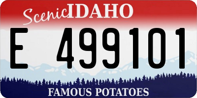 ID license plate E499101