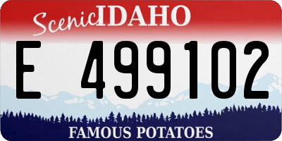 ID license plate E499102