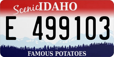 ID license plate E499103
