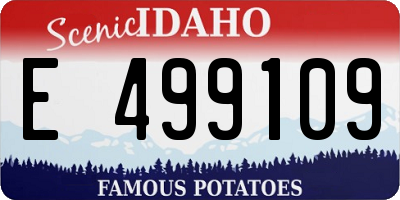 ID license plate E499109