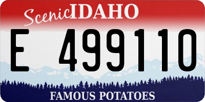ID license plate E499110
