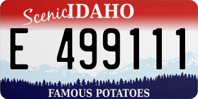 ID license plate E499111