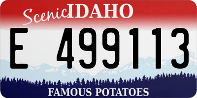 ID license plate E499113